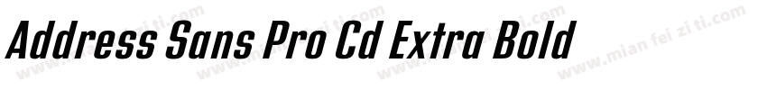 Address Sans Pro Cd Extra Bold It字体转换